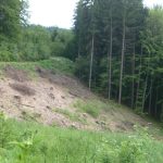 Rekonštrukcia poškodených smrekových skupín v zmiešanom smrekovo - bukovom poraste prevedená hospodárskym spôsobom holorubným , formou maloplošného holorubu, s následnou kombináciou prirodzenej a umelej obnovy.