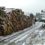 Výsledkom nárazového spracovania veľkého množstva kalamity je hromadenie dreva. Pri takýchto množstvách  má prevádzka veľakrát  problém s odbytom.