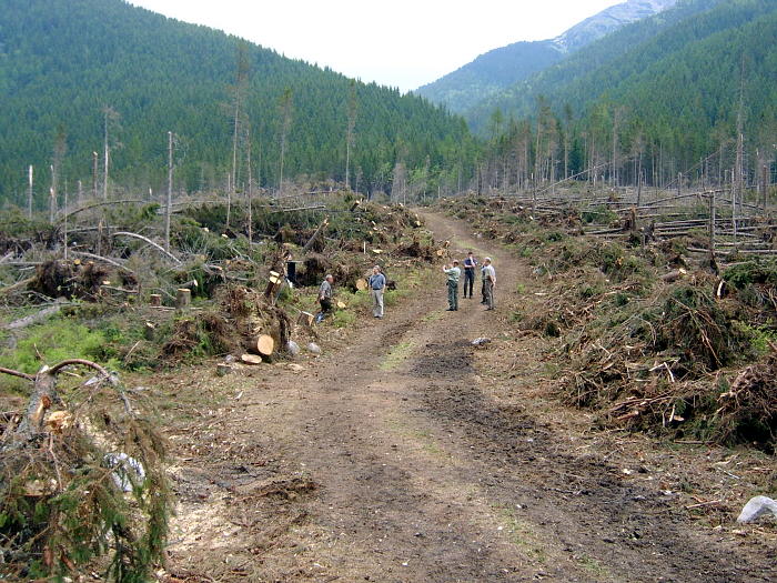 foto_mika_luboboslav