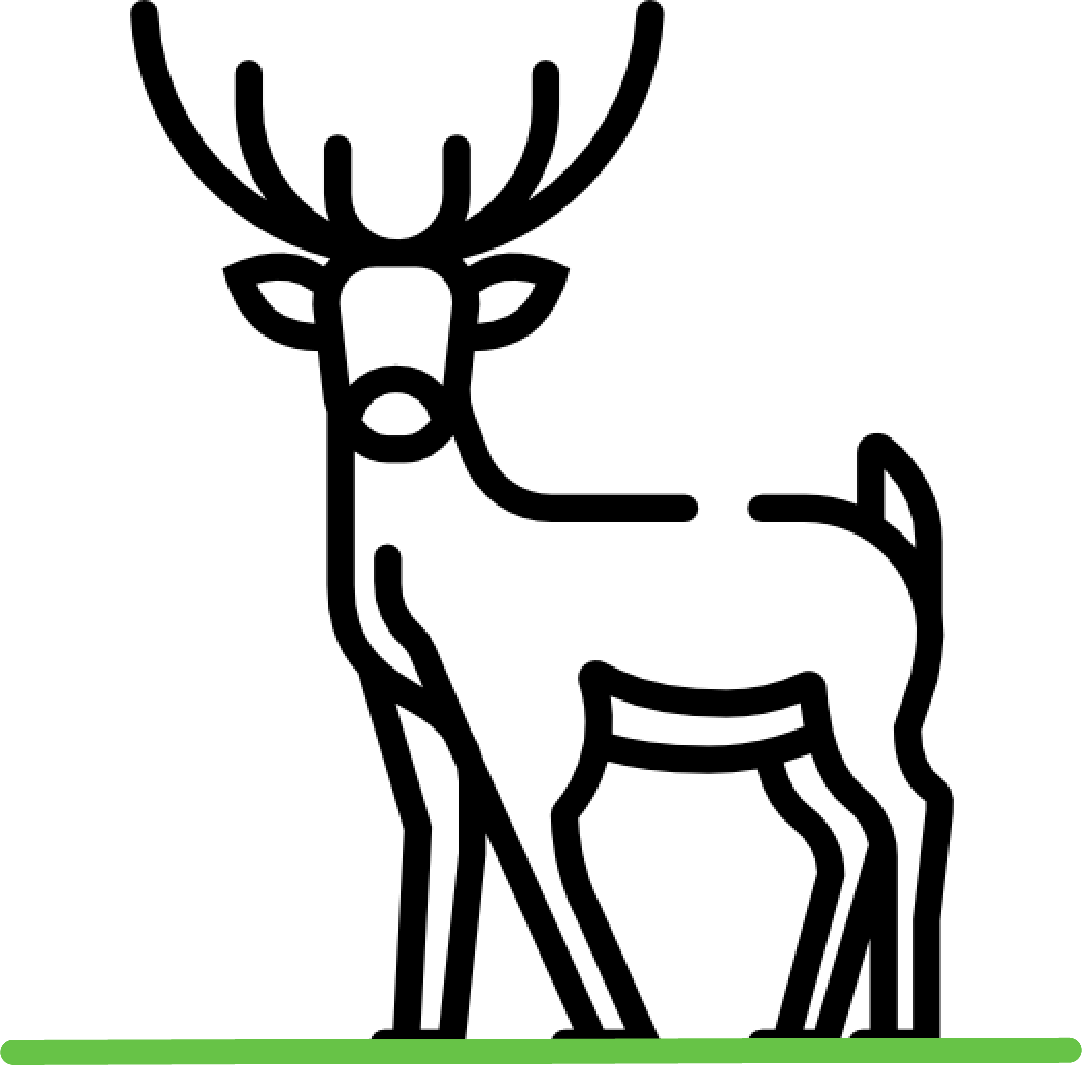 deer2